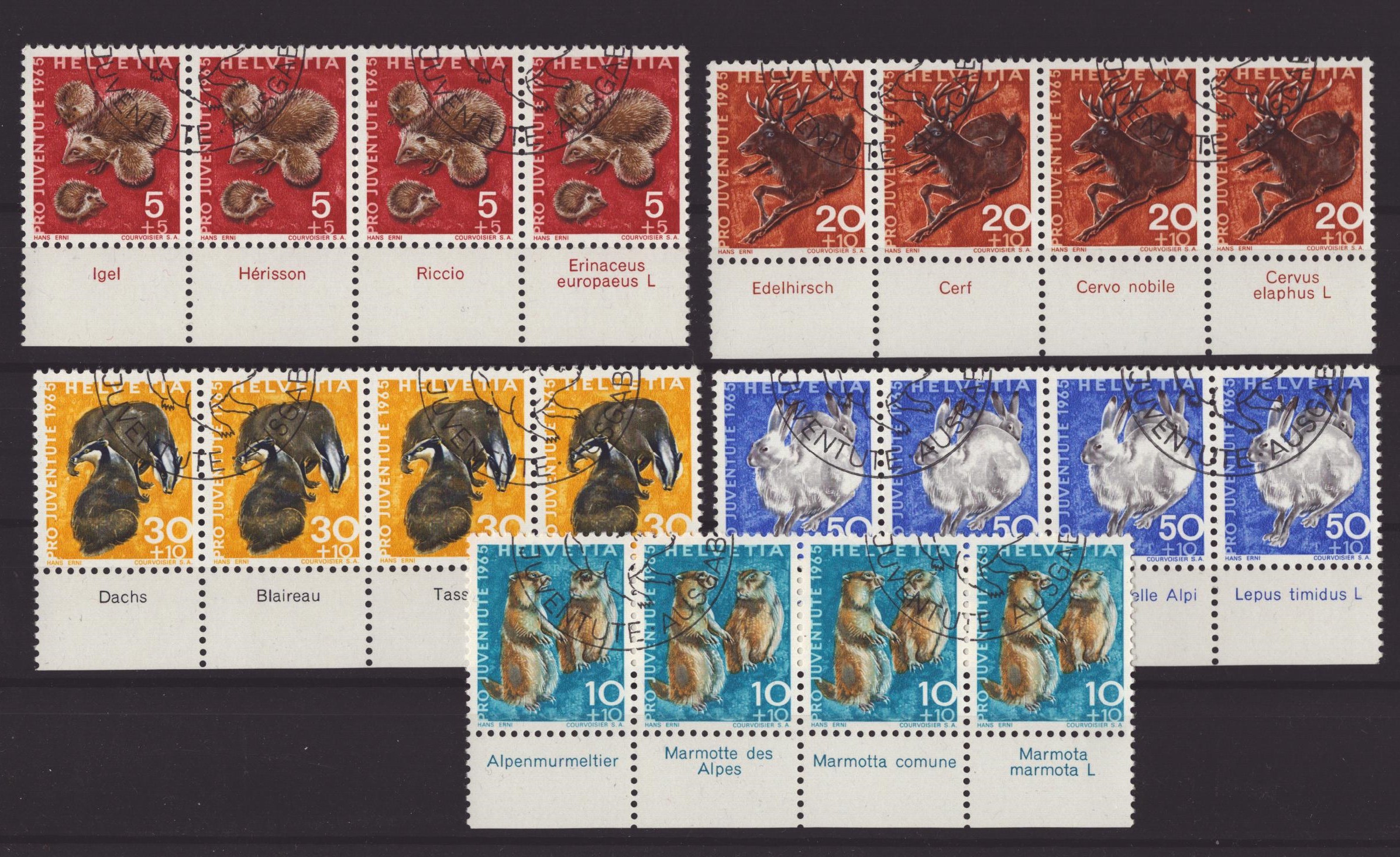 1965 Série avec TAB